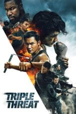 Download Triple Threat (2019) Bluray